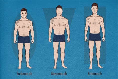 The Male Body Types: Ectomorph, Endomorph, Mesomorph