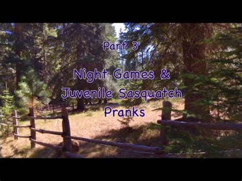 Night Games & Juvenile Sasquatch Pranks Pt.3 Bigfoot Community Campout 2016 - YouTube