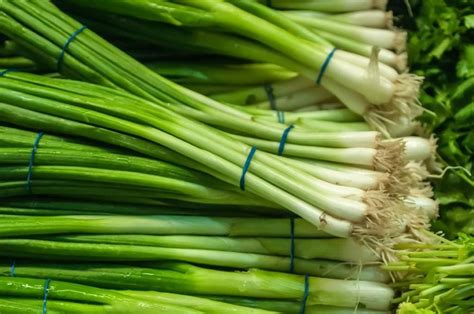 4 Different Types of Green Onions – PopOptiq