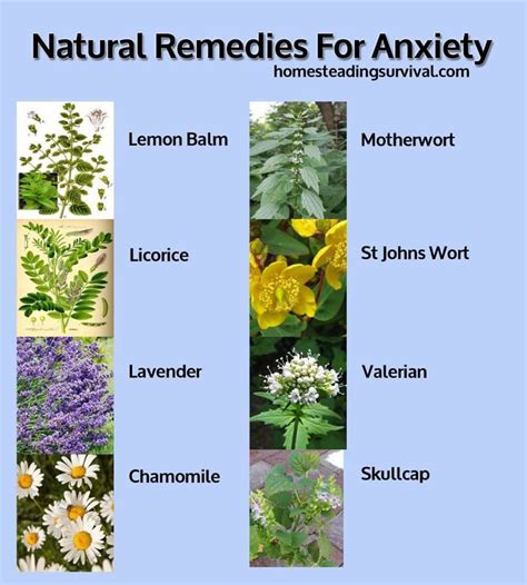 Anxiety: Natural Anxiety Remedies