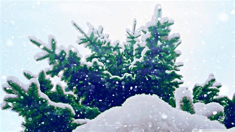 🔥 [50+] Let It Snow Wallpapers | WallpaperSafari