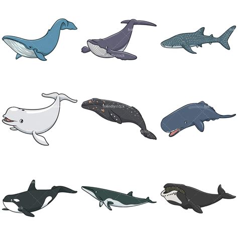 Clip Art Whale