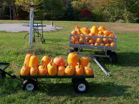 Welcome to the Autumn Harvest Orchard! | Autumn Harvest Orchard, LLC