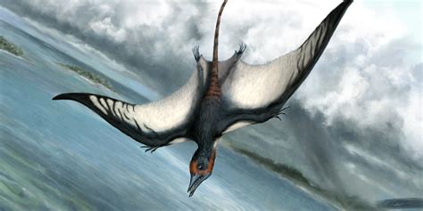 Cuddly pterodactyls - Science Musings