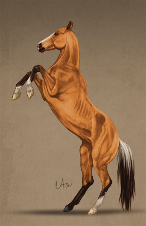 -= Com: Aliya =- by Naia-Art on DeviantArt | Horse painting, Horse drawings, Horse artwork