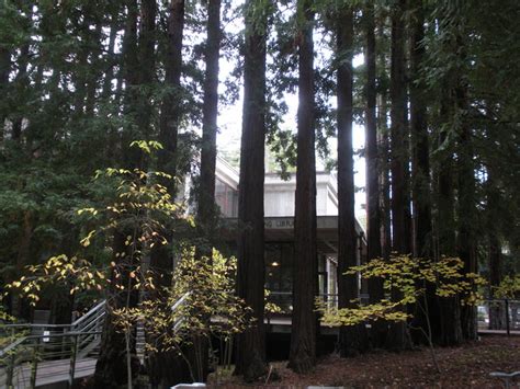 a view of the UCSC campus, #4 | Flickr - Photo Sharing!