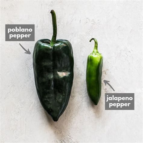 Poblano Peppers and How to Use Them in Recipes - Isabel Eats