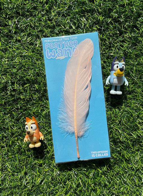 Bluey Feather Wand Party Favors - Etsy