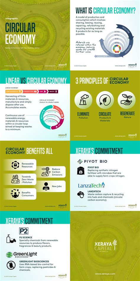 Infographic: Circular Economy - Xeraya Capital