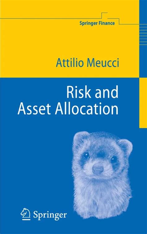 What is risk in asset allocation?