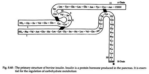 Proteins: Definition, Classification and Structure | Biochemistry