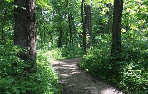 31 Epic Hiking Spots You'll Only Find In Iowa | Sylvothérapie, Foret, Le chant des oiseaux