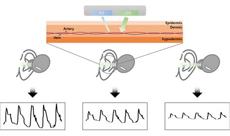 Mechanism of PPG sensor according to the distances between user and the ...