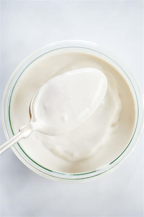 2 Minute Dairy Free Yogurt Recipe - Paleo Gluten Free