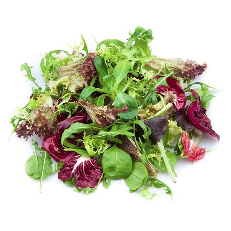 Salad Leaves- 1.5kg box - Earthymamma