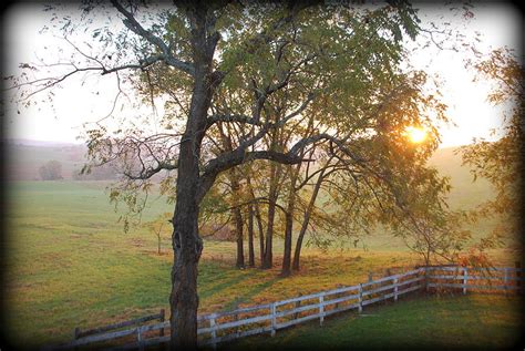 Sunrise on the Farm Photograph by Amy Scheer - Fine Art America