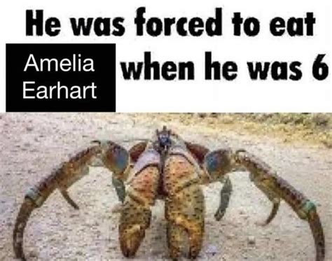 One like = one prayer | /r/okbuddyretard | Amelia Earhart Eaten By Coconut Crabs | Know Your Meme