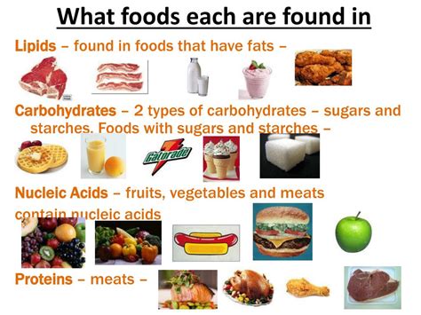 PPT - Macromolecules (Carbohydrates, Proteins, Lipids, Nucleic Acids) PowerPoint Presentation ...