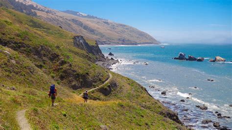 Backpacking California's Lost Coast | REI Co-op