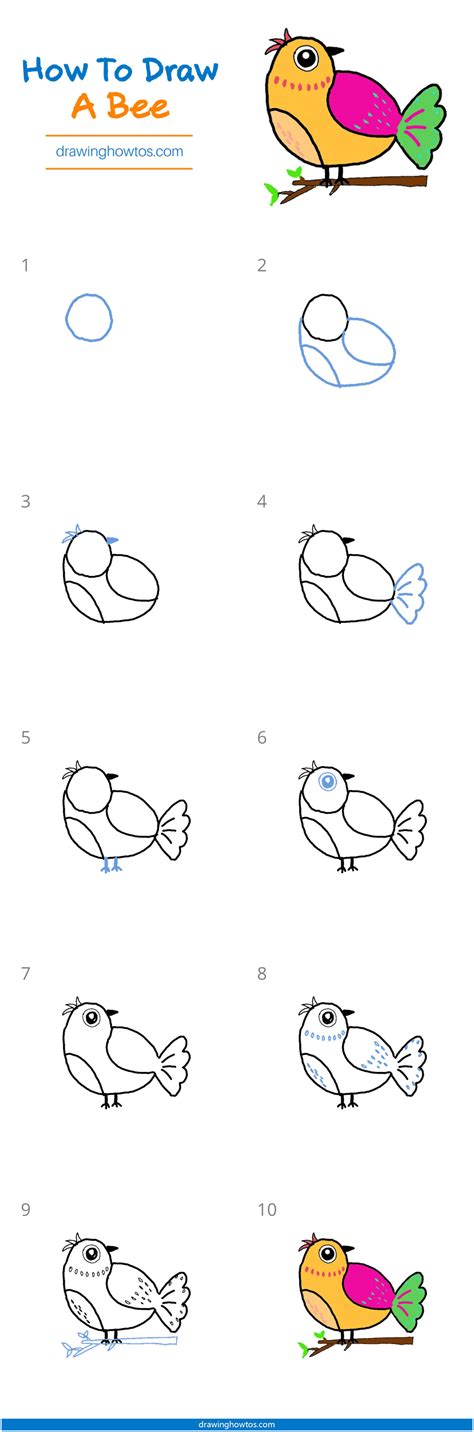 How to Draw a Bird - Step by Step Easy Drawing Guides - Drawing Howtos