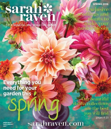 Sarah Raven | Garden, Plants, Garden seeds