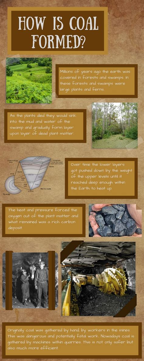 Check out this great infographic about how coal is formed! Science Fair, Science Lessons, School ...