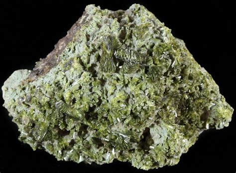 2.7" Lustrous, Epidote Crystal Cluster - Morocco (#49411) For Sale - FossilEra.com