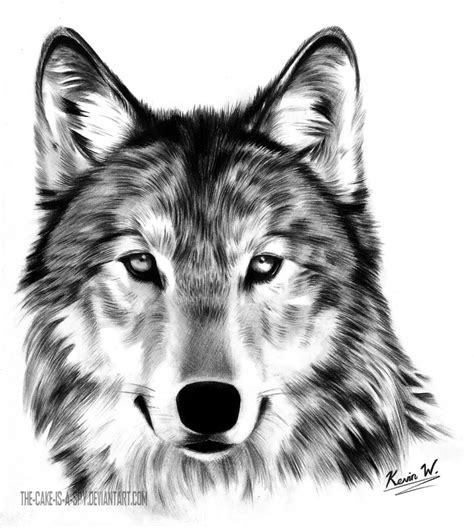 Wolf Drawing - Cliparts.co