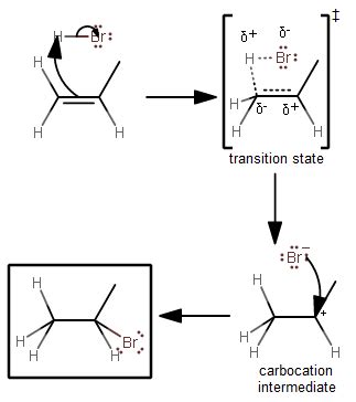 How does hydrohalogenation mechanisms work? + Example