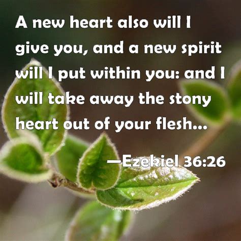 Ezekiel 36:26 A new heart also will I give you, and a new spirit will I put within you: and I ...