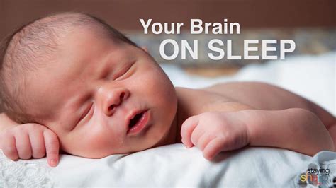 Your Brain on Sleep | Baby lullabies, Baby songs, Lullaby songs