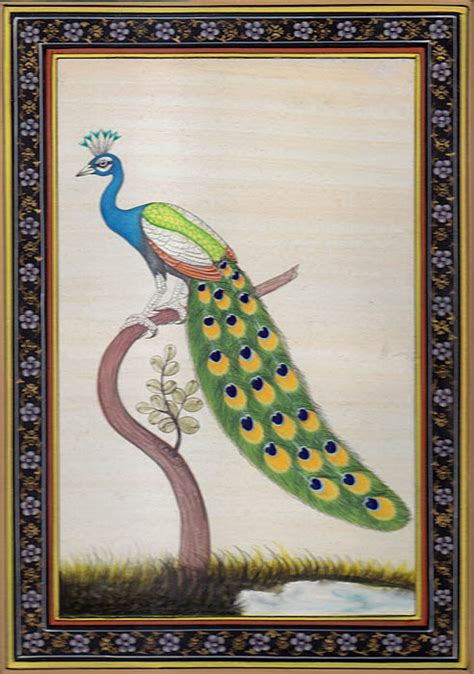 Peacock | Exotic India Art