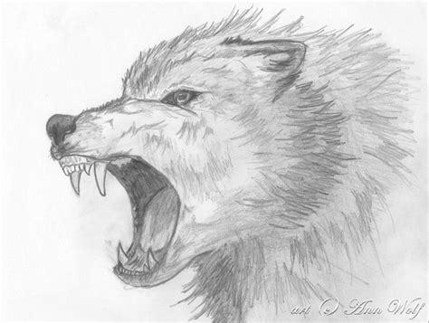 wolf drawings | Angry Wolf by Kuutulensudet Animal Sketches, Animal ...