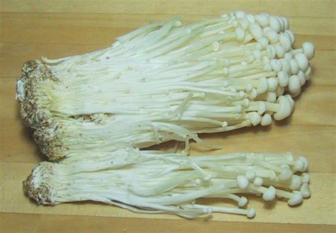 Enokitake - Wikipedia