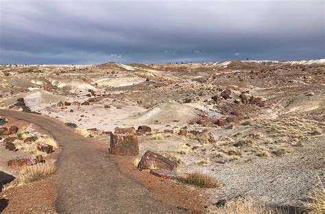 Exploring The Crystal Forest At Petrified Forest National Park