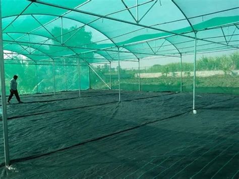 Steel Flat Roof Shade Net House at Rs 600/square meter in Surat | ID ...