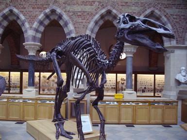 Meet the Dinosaur Anatotitan, Meaning "Giant Duck"