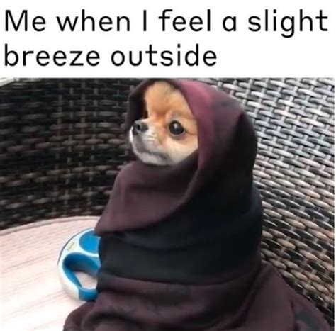 If Your Body Can Never Decide If It's Hot or Cold, These 14 Memes Are for You