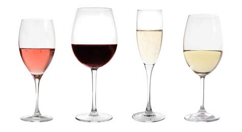 Types of Wine Glasses | Which Glasses Do You Need