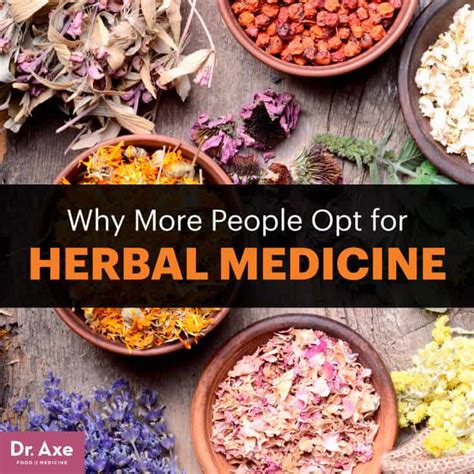 Herbal Medicine & the Top 10 Herbal Medicine Herbs - Dr. Axe