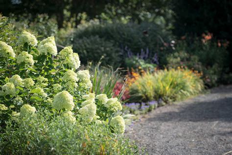 9 Fall Shrubs that will Transform your Garden