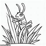 Grasshopper Climbing Grass Coloring Page  For Kids – Smart sketch template