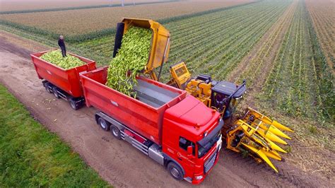 Picking Organic Sweet Corn | Oxbo 2475 corn picker | ... | Doovi