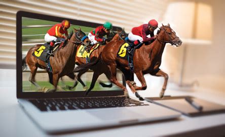 Best Horse Betting Sites - How to Bet On Horse Races