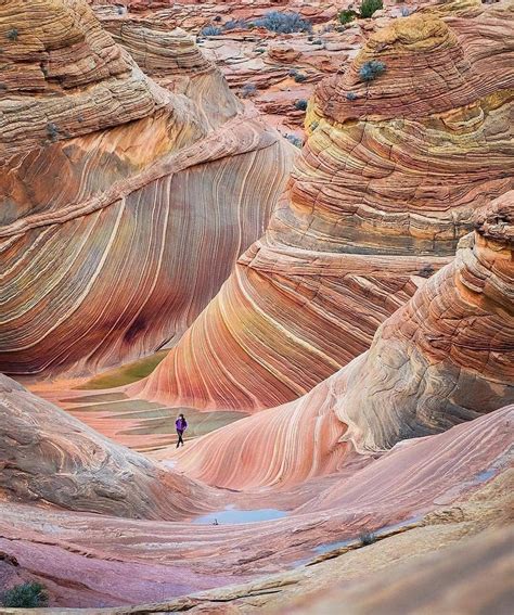 "The Wave", a colorful rock formation found in Arizona, USA : r ...