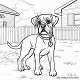 Boxer Dogs Coloring Pages  Free & Printable sketch template