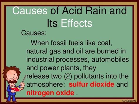 Causes of Acid Rain and Its Effects