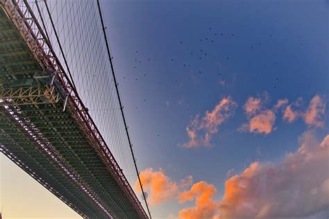 10 Fun & Interesting Brooklyn Bridge Facts (History, Info and More!)