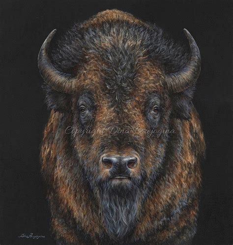 Bison Presence | Buffalo animal, Bison art, Animals wild