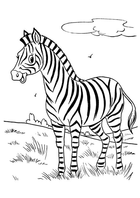 Cute Baby Zebra Coloring Page - Free Printable Coloring Pages for Kids